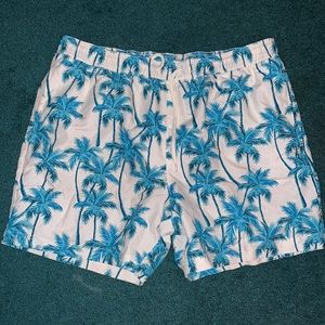 Swim Trunks